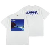 【STANDARD CALIFORNIA-スタンダード カリフォルニア】HIROSHI NAGAI / SD 23rd Year Art T