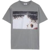 【GDC-ジーディーシー】Photo Tee【GRY】