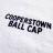 【MINE USA/マイン ユーエスエー】MINE x COOPERS TOWN BALL CAP Flock Print Tee【WHT】
