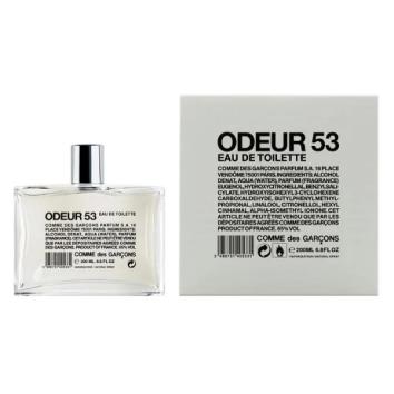 【COMME des GARCONS PARFUMS】 ODEURE 53